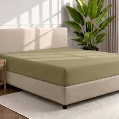 Bed with a fitted sheet in a room with a large plant and rug