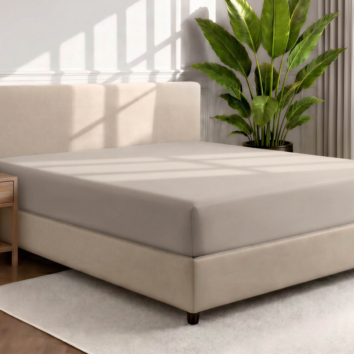 Bed with a fitted sheet in a room with a large plant and rug