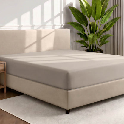Bed with a fitted sheet in a room with a large plant and rug