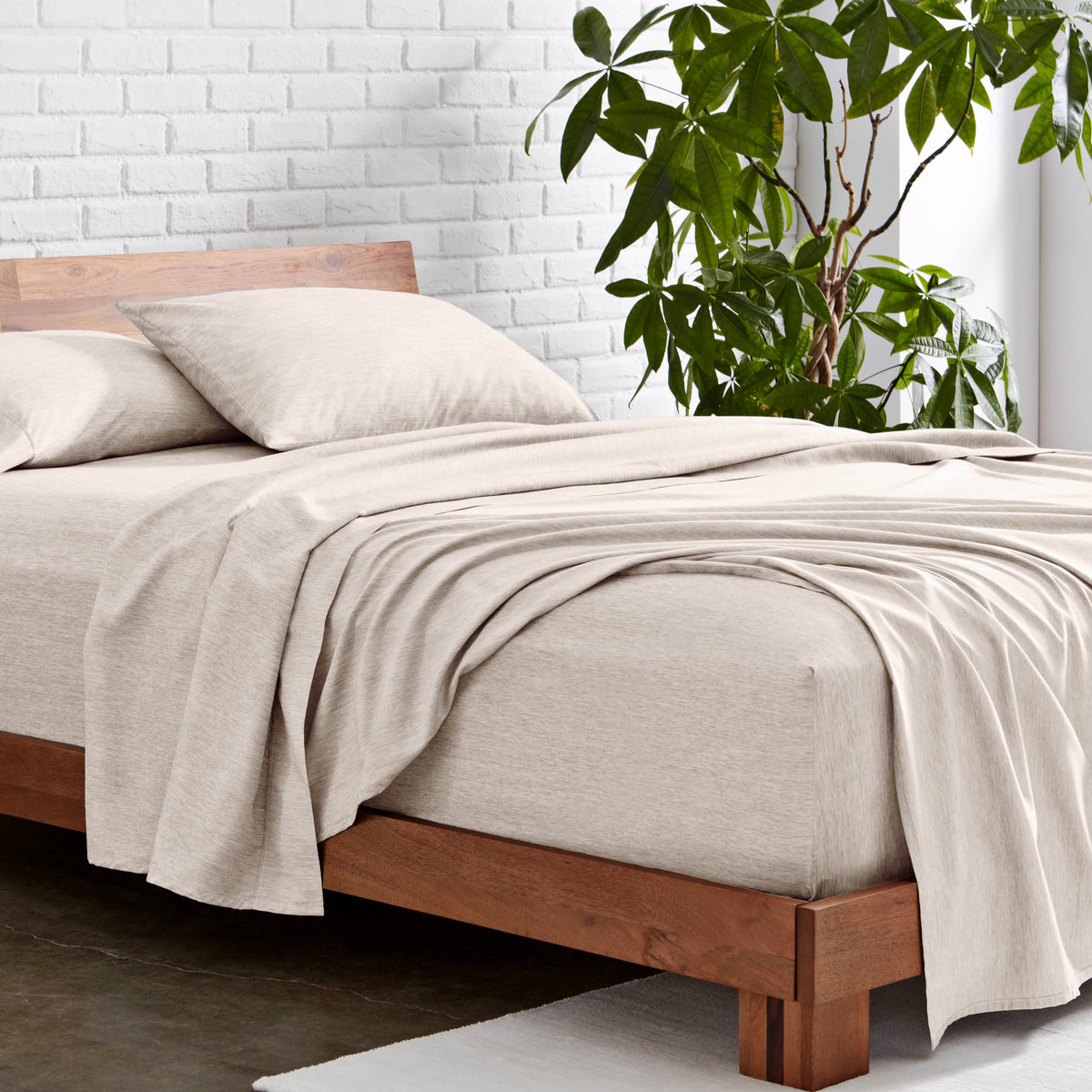 Microfiber sheet set on a wooden bed with a plant in the background