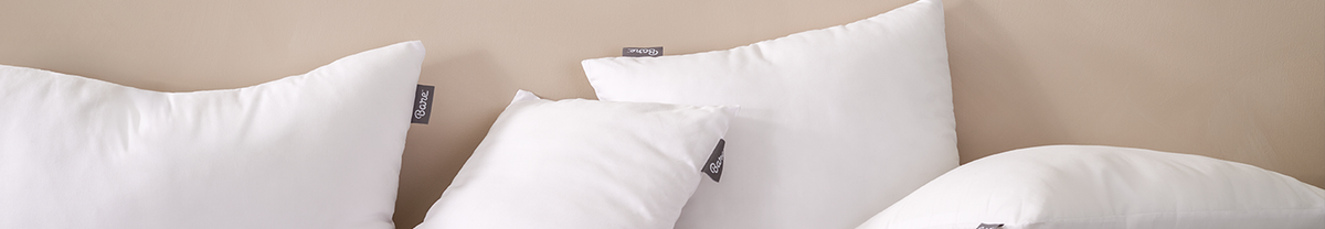 Pillows Protectors