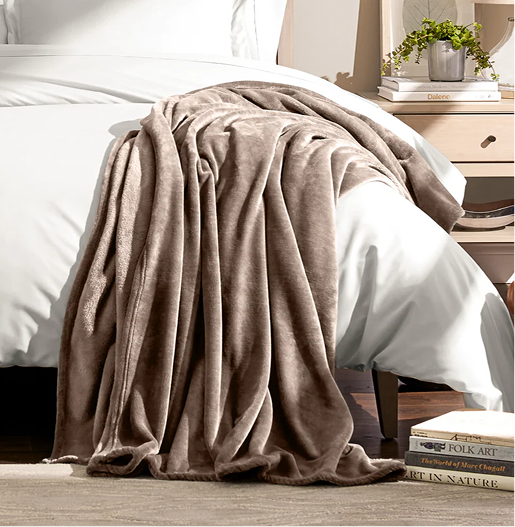 Brown blanket draped over a bed in a bedroom setting with books and a plant.