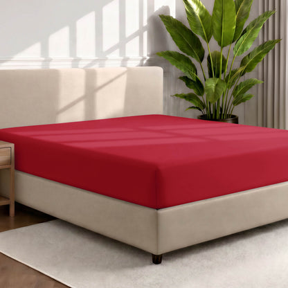 Bed with a fitted sheet in a room with a large plant and rug