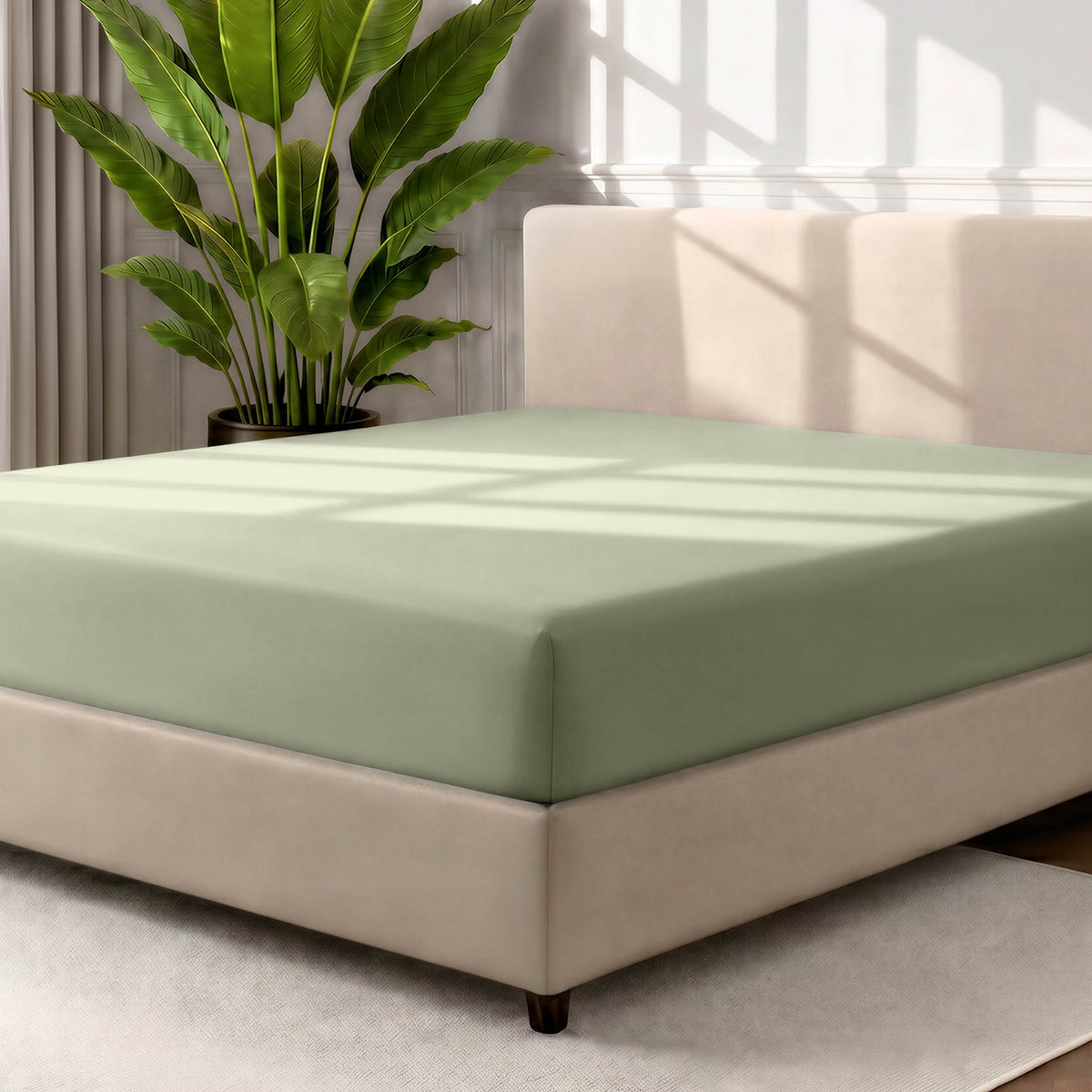 Bed with a fitted sheet in a room with a large plant and rug