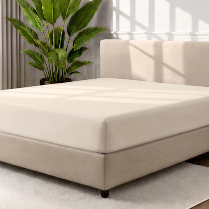 Bed with a fitted sheet in a room with a large plant and rug