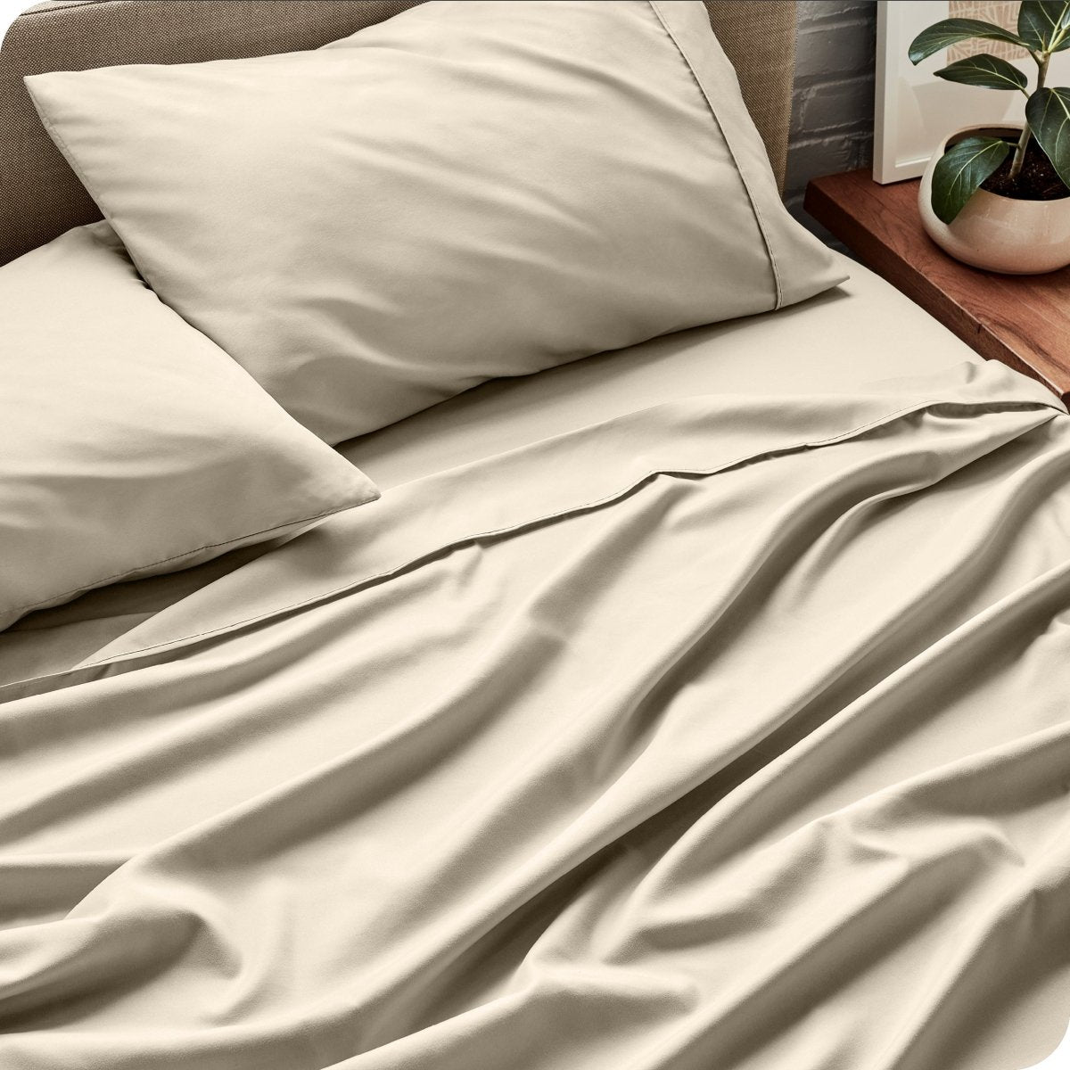 Bed sheets and pillows on a bed with a plant in the background