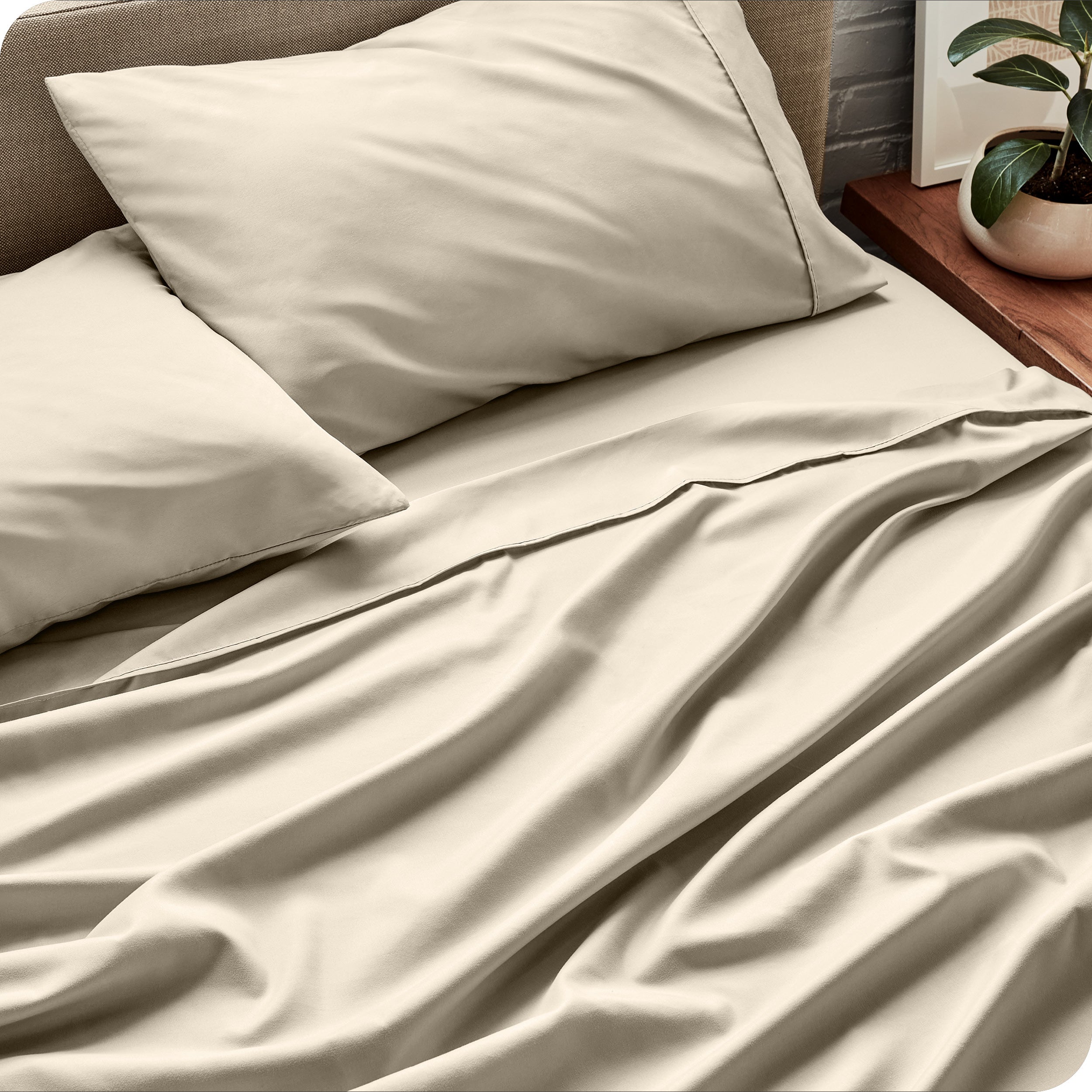 Sheet set on a bed with pillows and a plant in the background