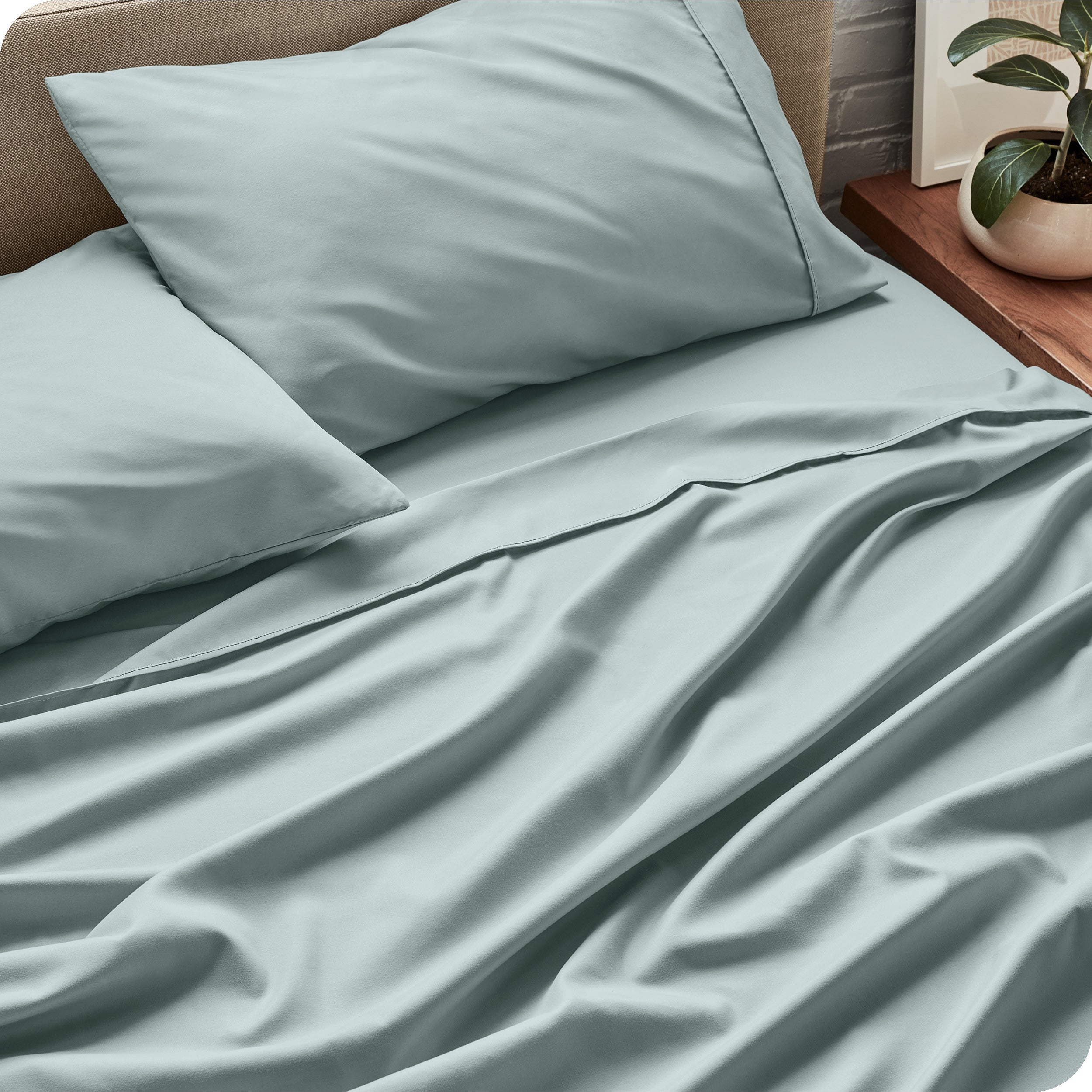 Sheet set on a bed with pillows and a plant in the background