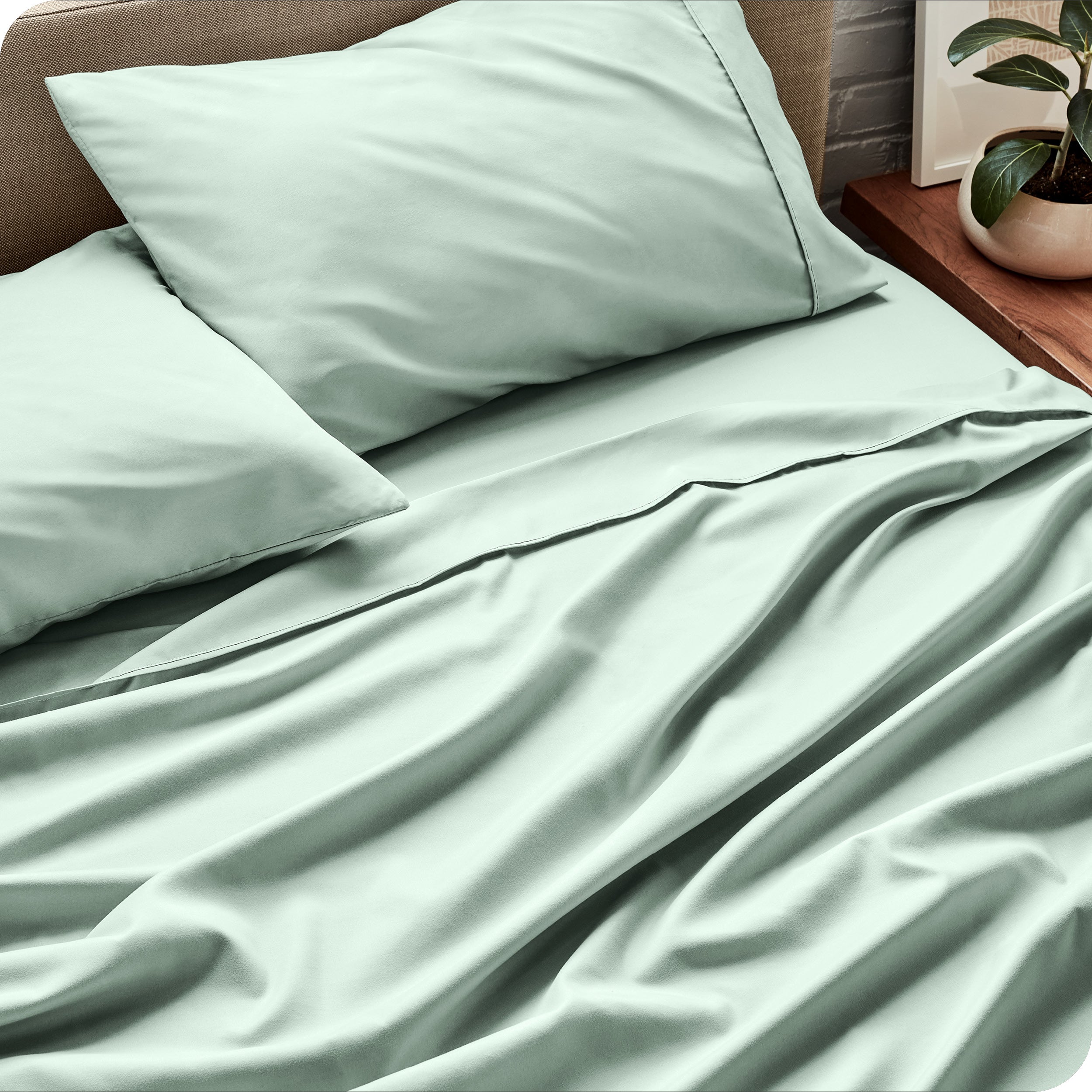 Sheet set on a bed with pillows and a plant in the background
