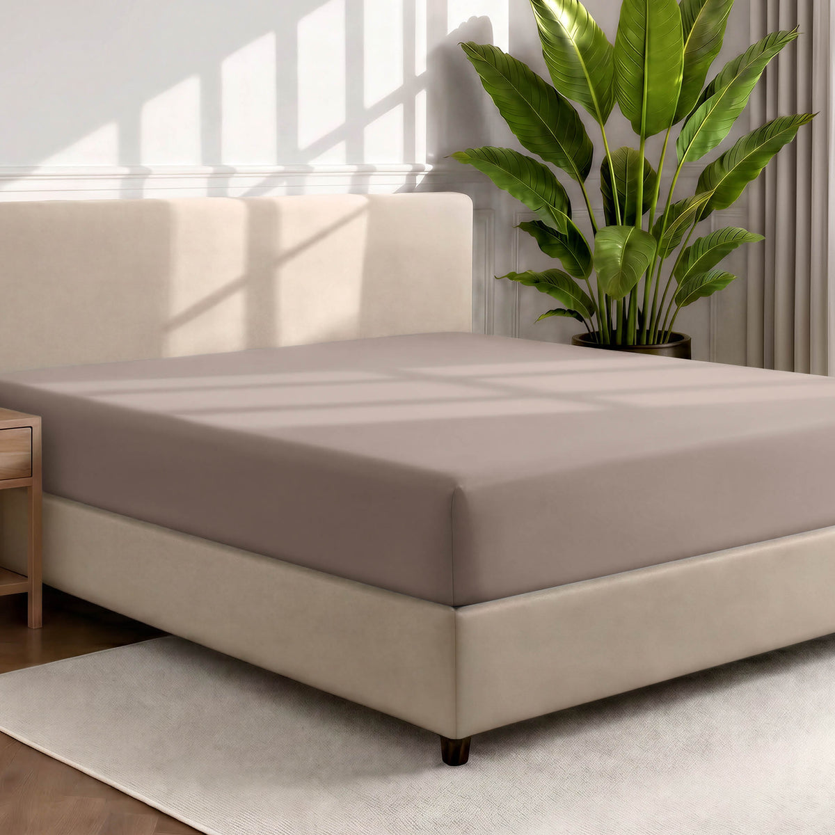 Bed with a fitted sheet in a room with a large plant and rug