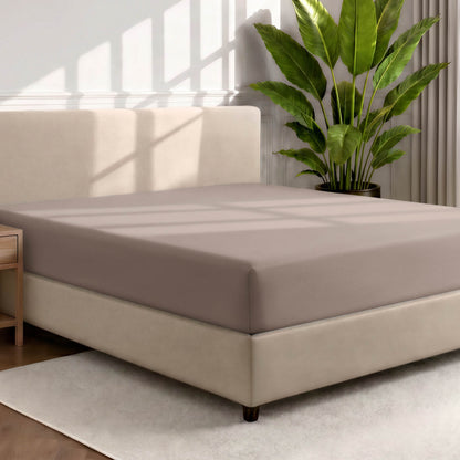 Bed with a fitted sheet in a room with a large plant and rug