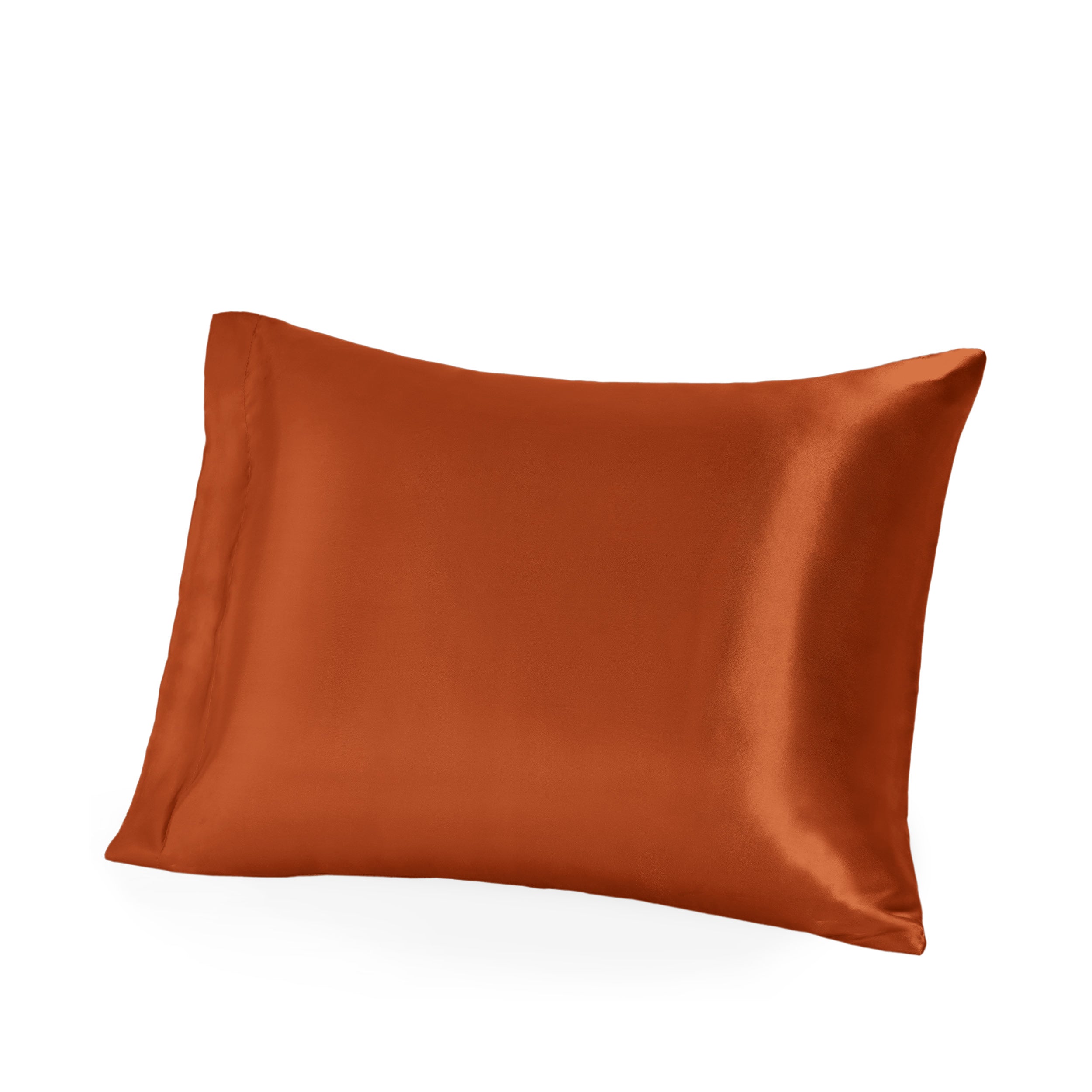 A single mulberry silk pillowcase