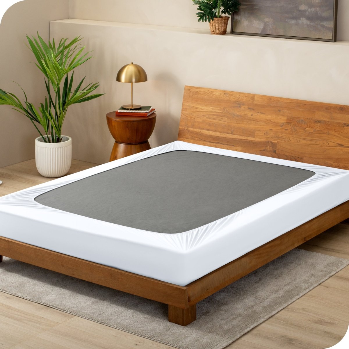 White box spring cover on a box spring
