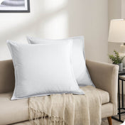 Two pillows on a beige couch in a living room setting.