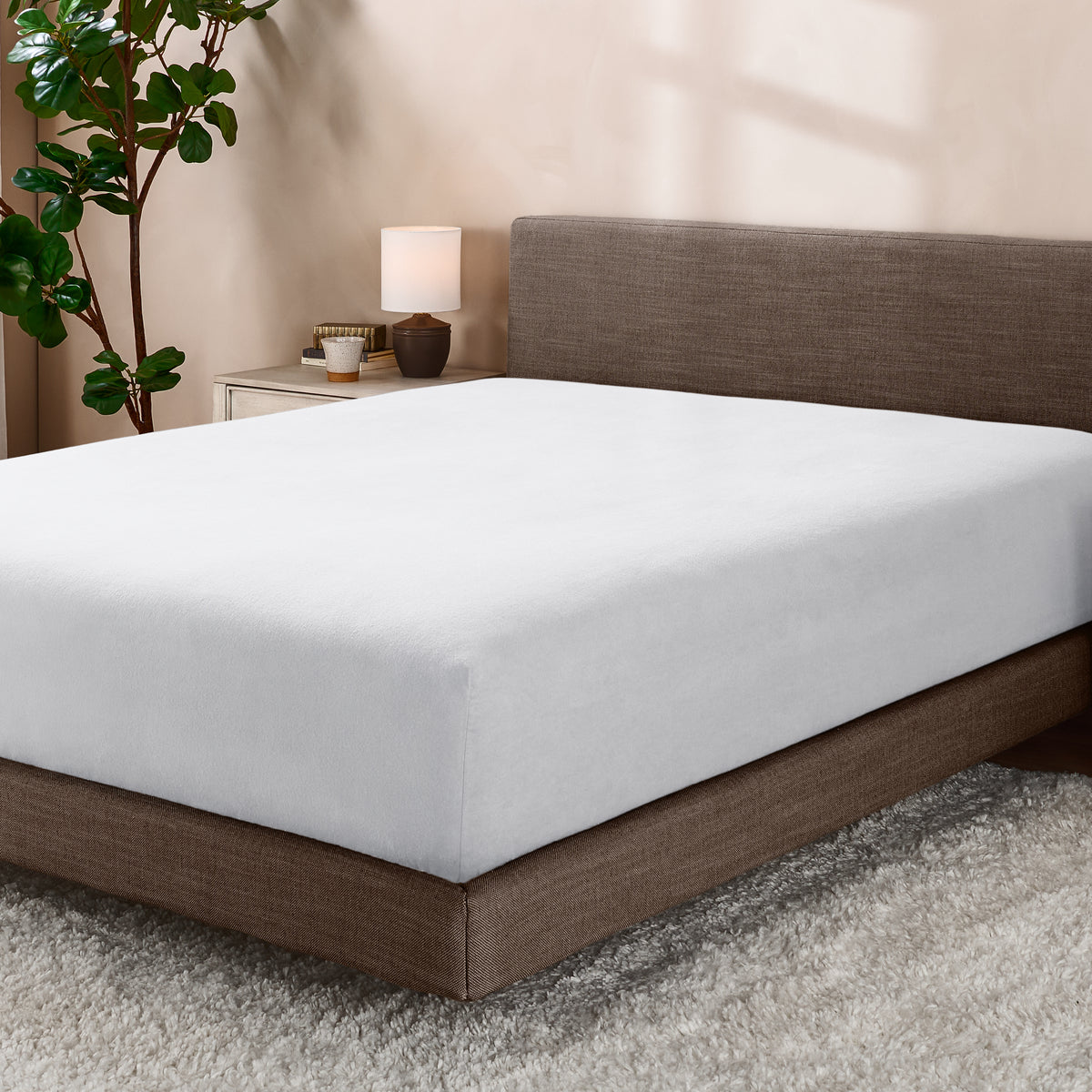 Bed with fitted sheet in a room with a lamp and plant.