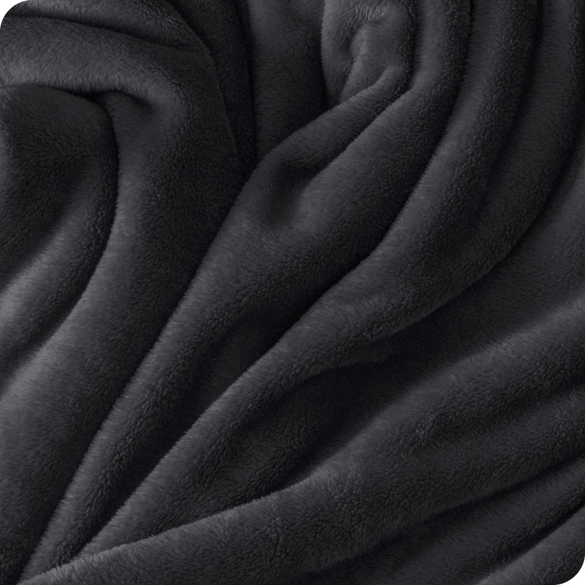 Microplush Blanket