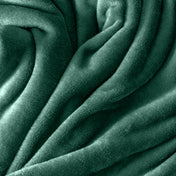 Microplush Blanket