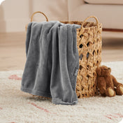 Microplush Blanket