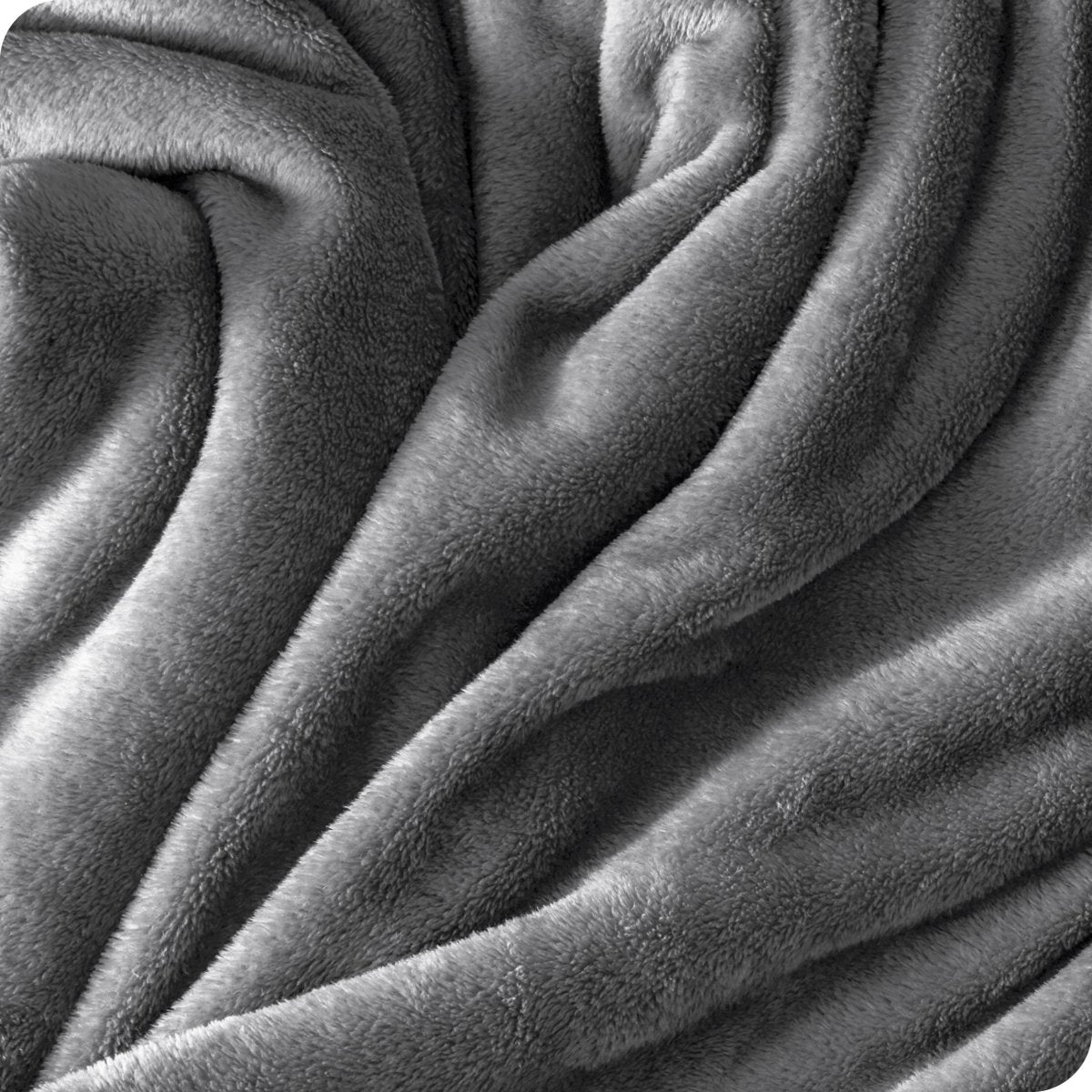 Microplush Blanket