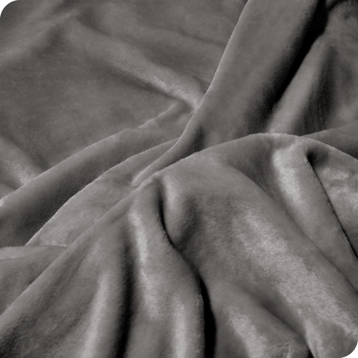 Microplush Blanket