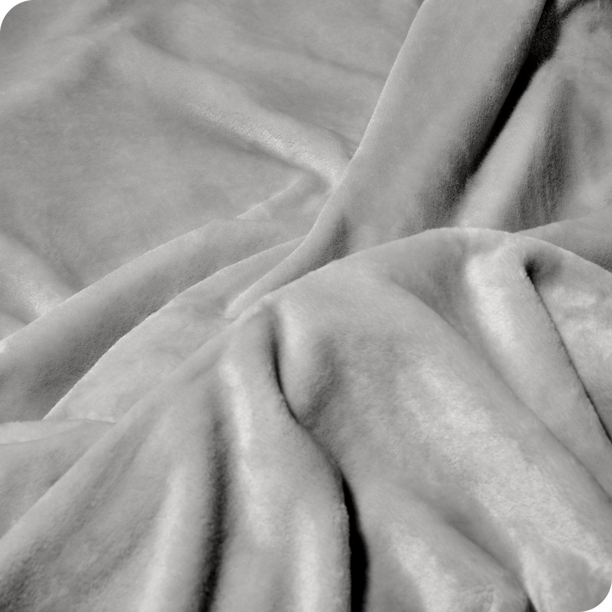 Microplush Blanket