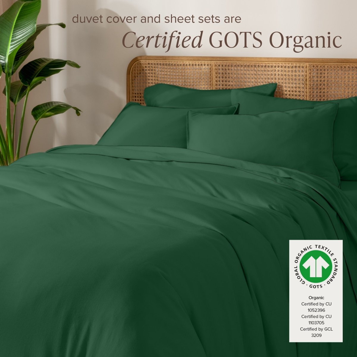 Organic Cotton Jersey Bedding Bundle - Bare Home