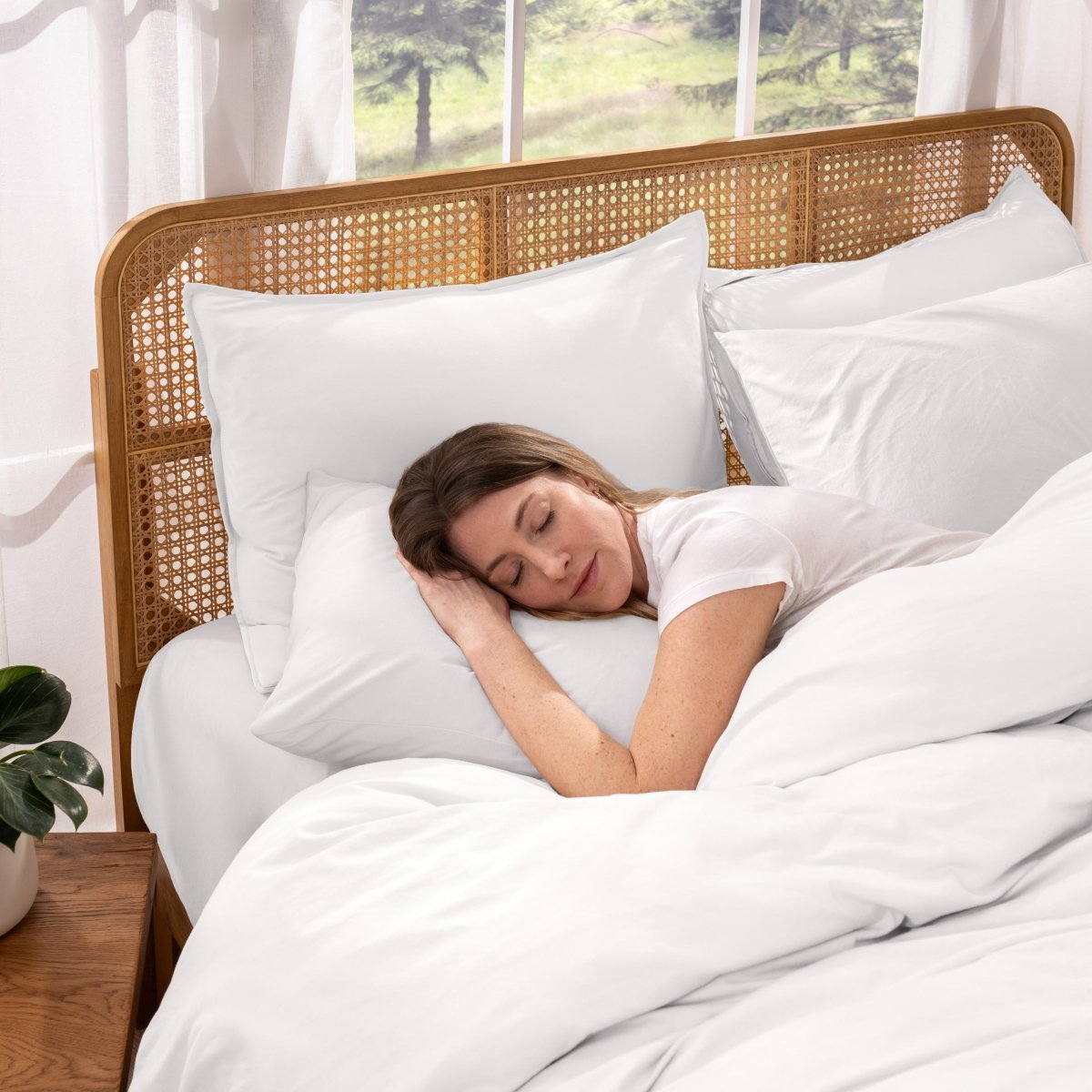 Organic Cotton Jersey Duvet Cover & Sham Set - Bare Home