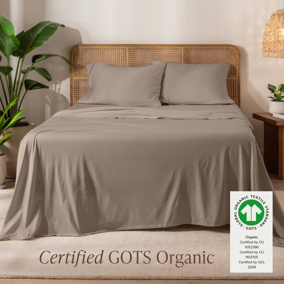 Organic Cotton Jersey Sheet Set - Bare Home