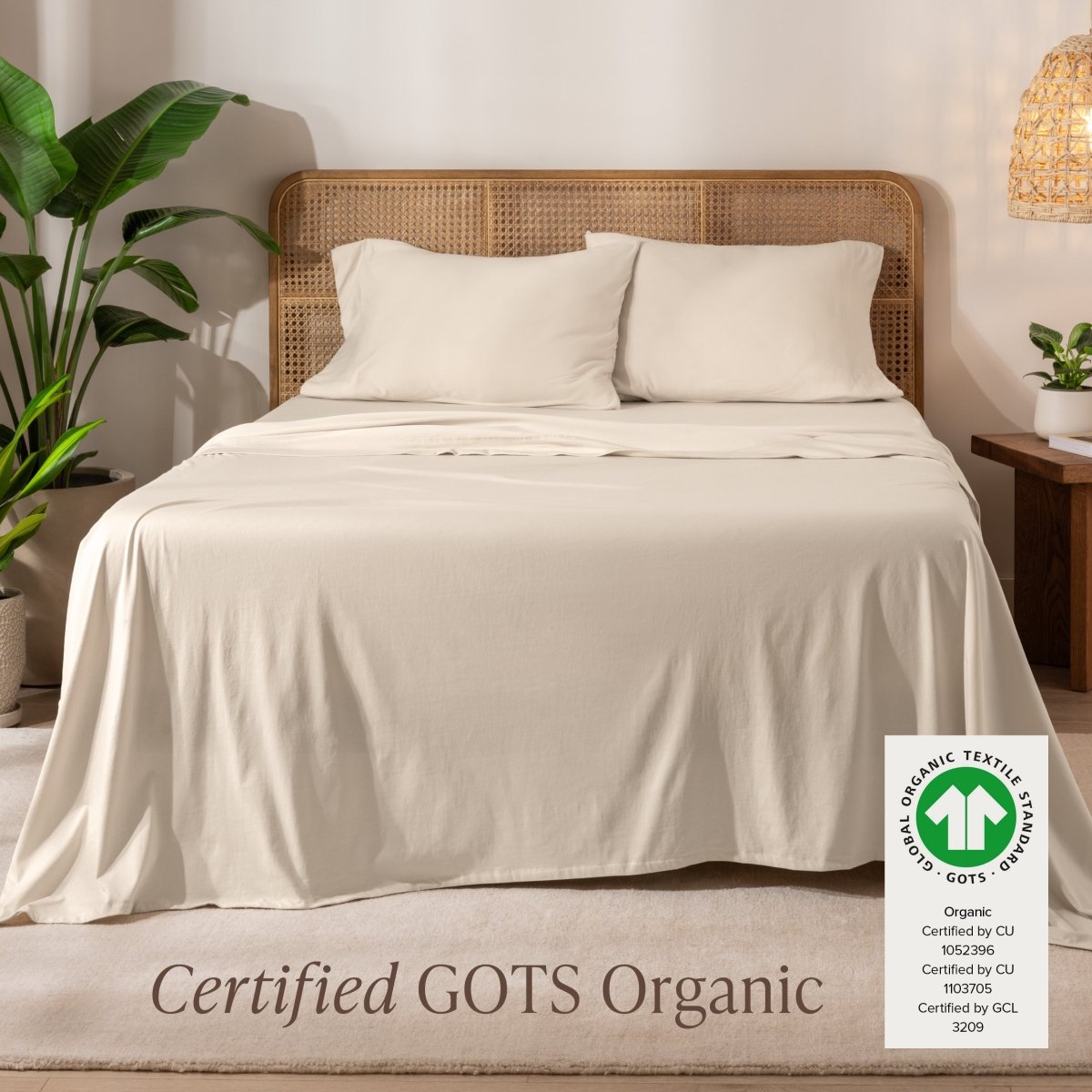 Organic Cotton Jersey Sheet Set - Bare Home
