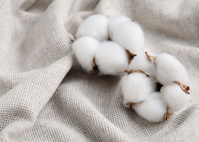 Raw cotton sitting on top of bedding