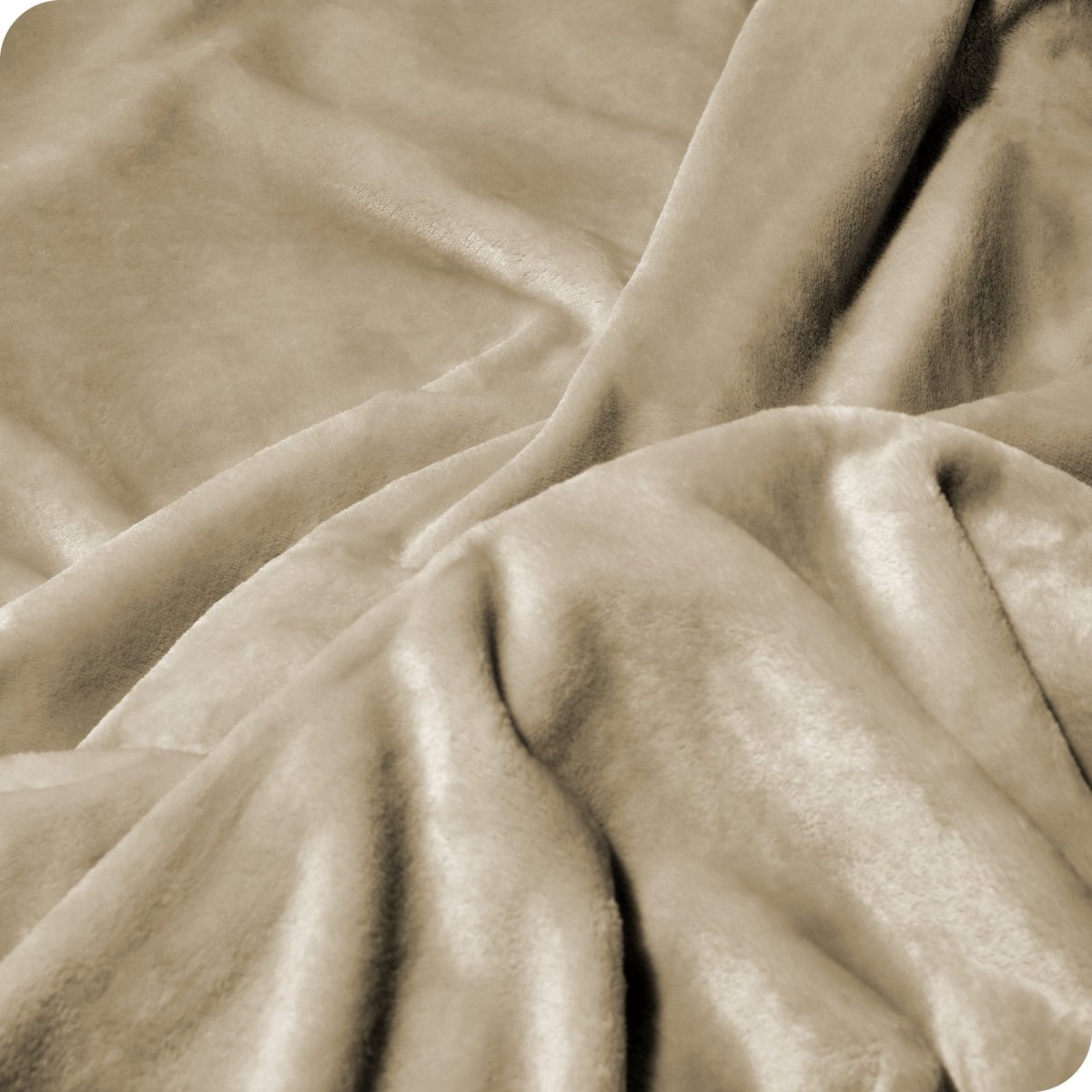Microplush Blanket