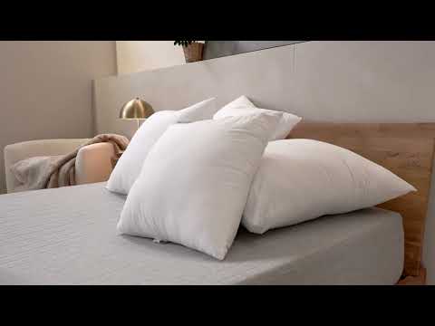 Pillow Inserts