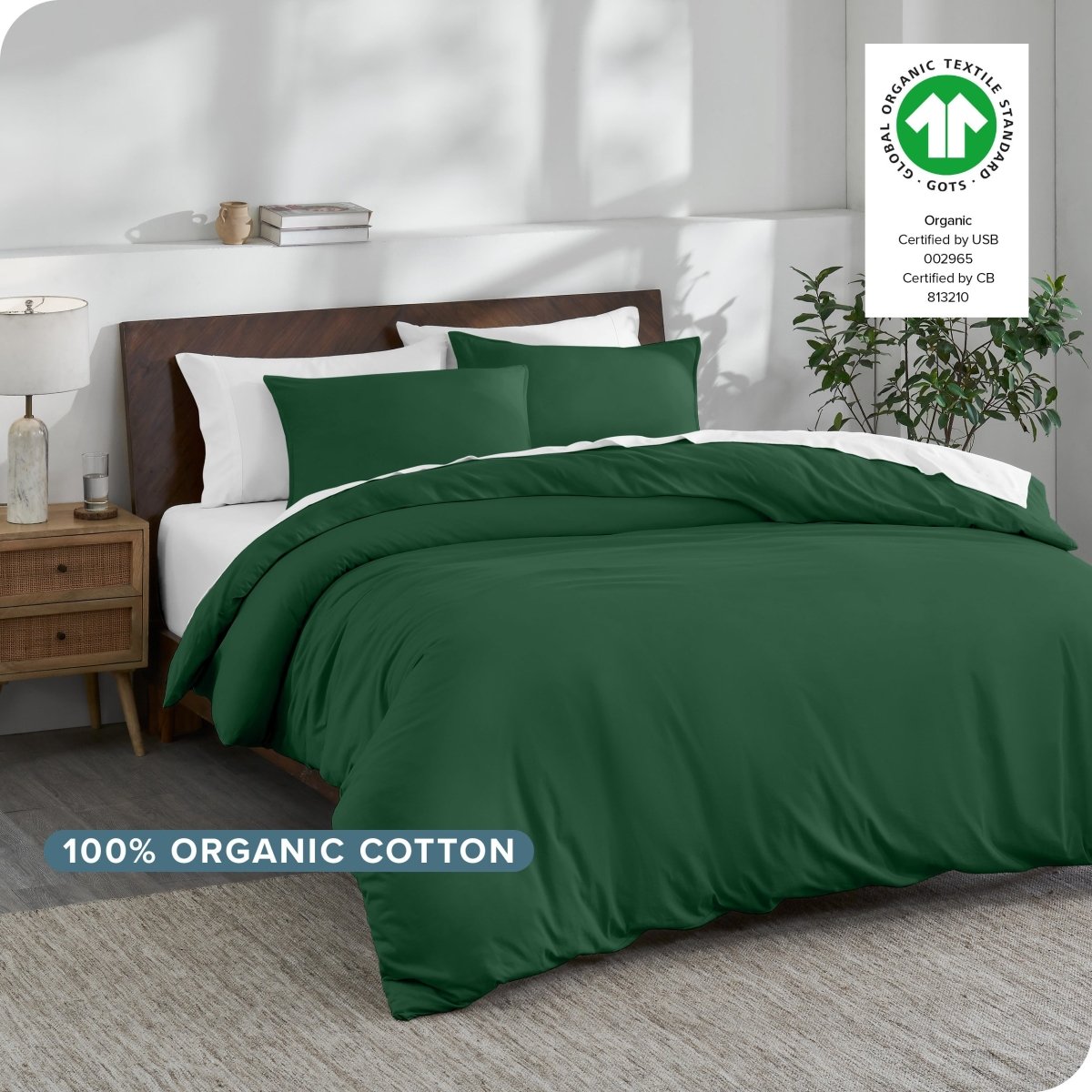 Sale - Organic Cotton Jersey Duvet Cover & Sham Set - Bare Home