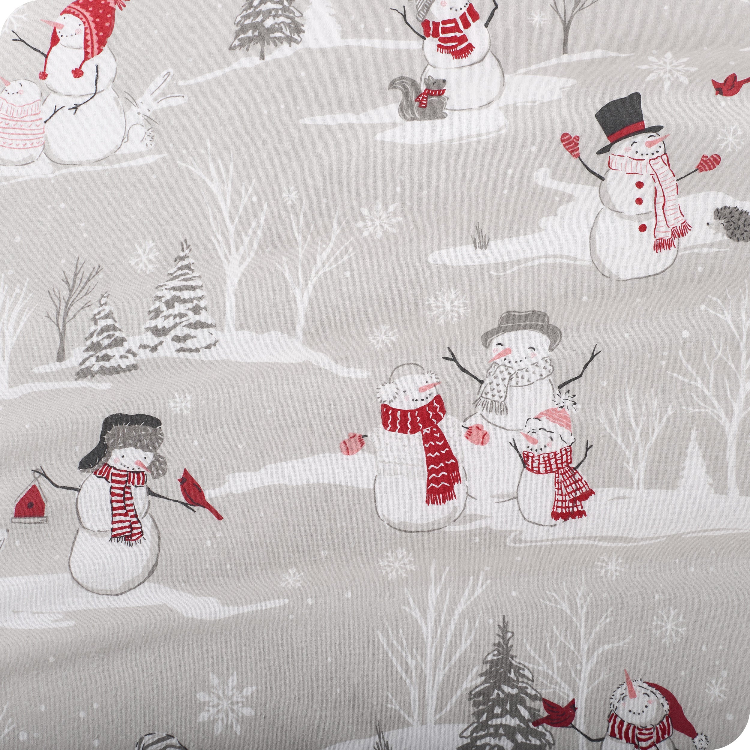 Cotton Flannel Sheet Set - Prints