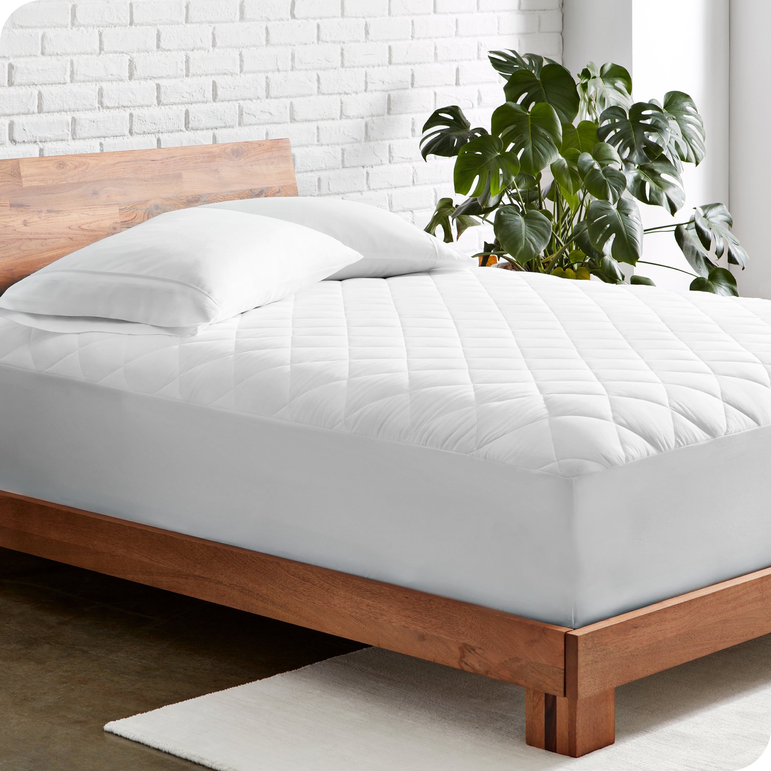 A diagonal view of a bed frame with mattress on it. There is a mattress pad on the mattress and 2 pillows on top of the mattress pad. A large plant is next to the bed. 